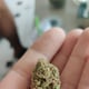 ร้านกัญชา SantiNiyom Cannabis