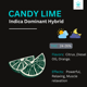 CANDY LIME